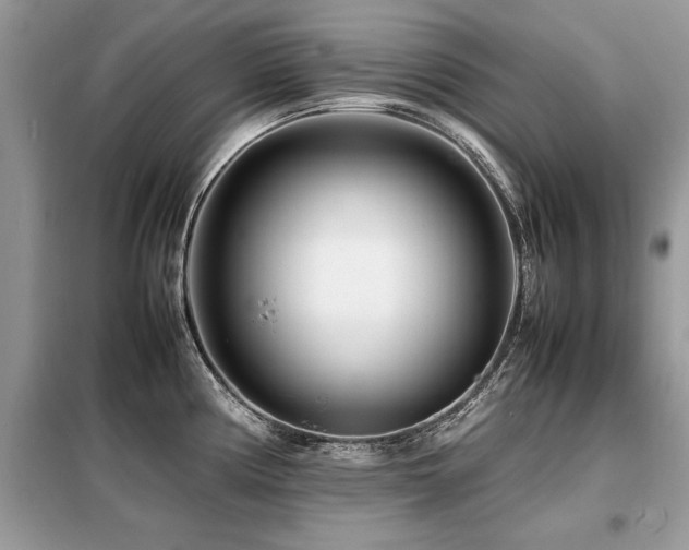 X0000099461194200805091521