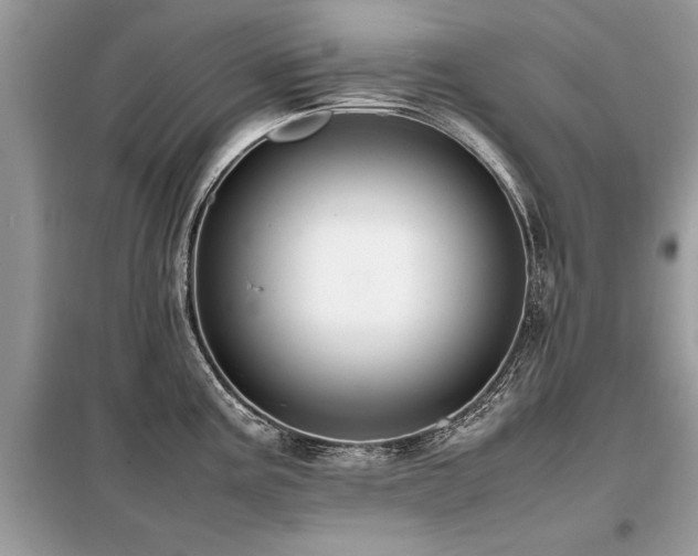 X0000099461195200805091521