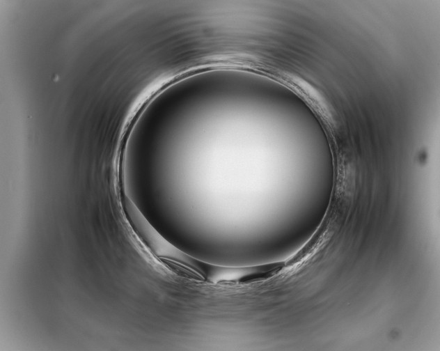 X0000099461196200805091521