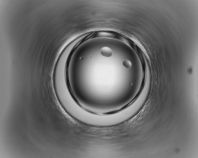 X0000099461197200805091521