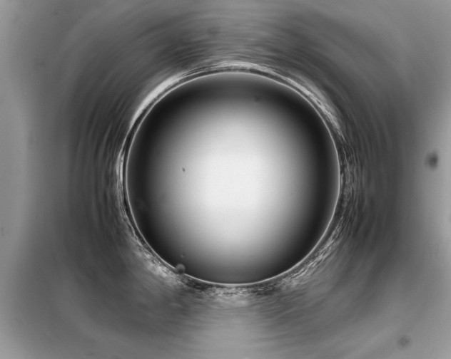 X0000099461198200805091521