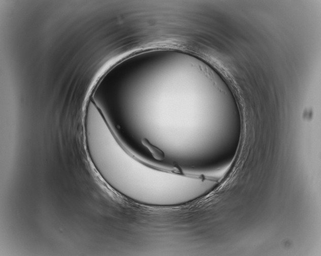 X0000099461200200805091521