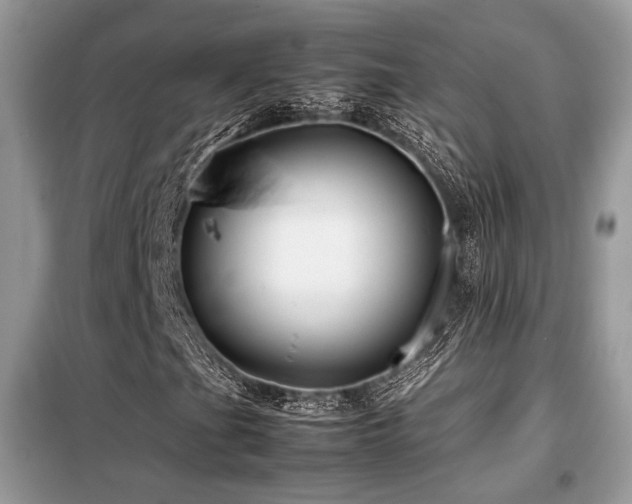 X0000099461201200805091520