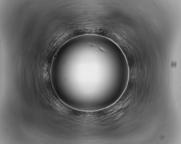 X0000099461202200805091520
