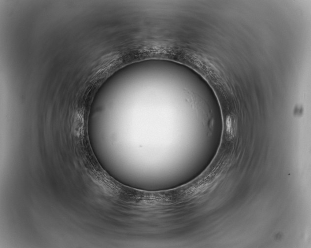 X0000099461203200805091520