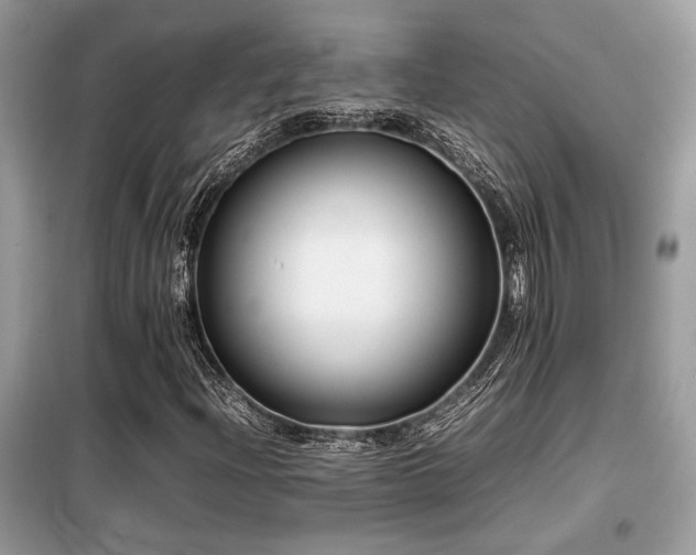 X0000099461204200805091520