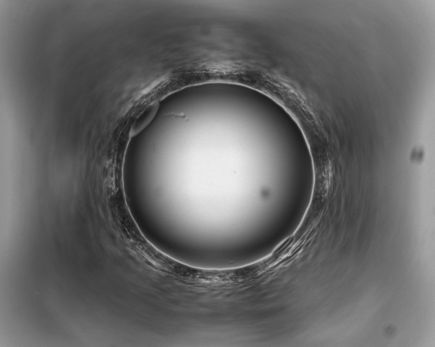 X0000099461205200805091520