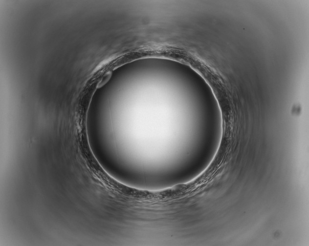 X0000099461206200805091520