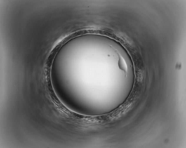 X0000099461208200805091520
