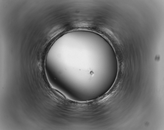 X0000099461209200805091520