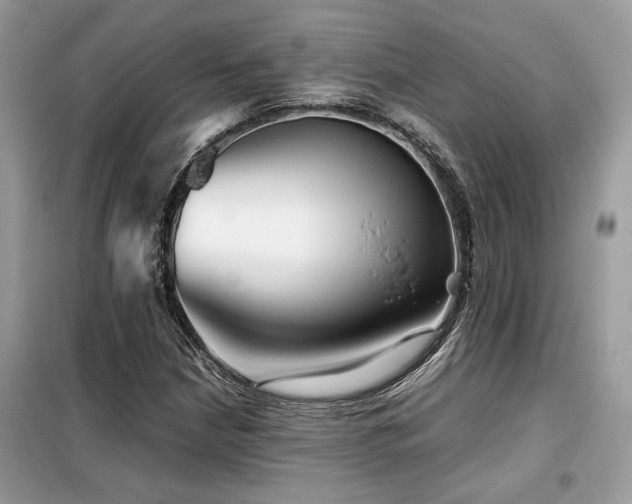 X0000099461210200805091520