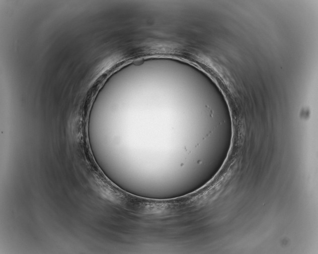 X0000099461211200805091520