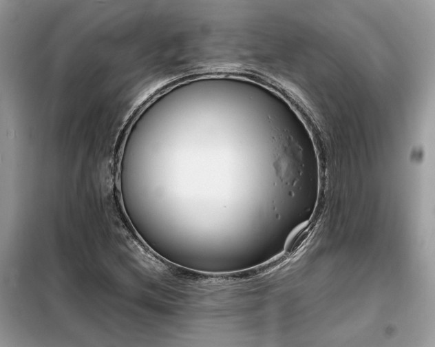 X0000099461212200805091520