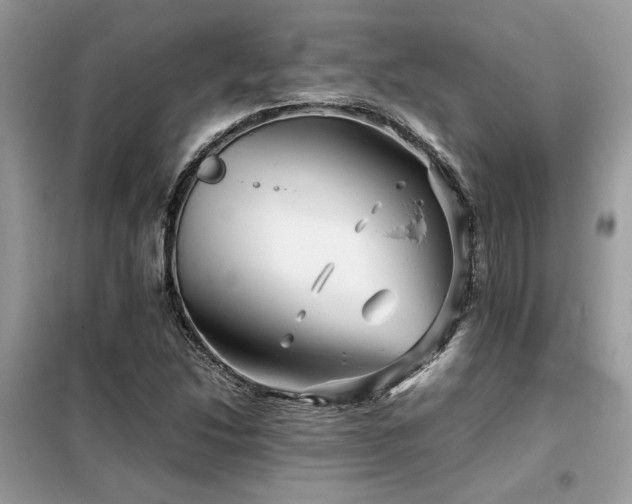 X0000099461214200805091520