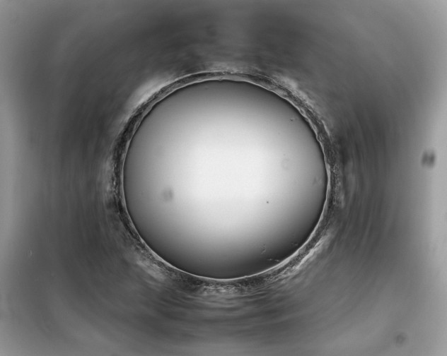 X0000099461215200805091520