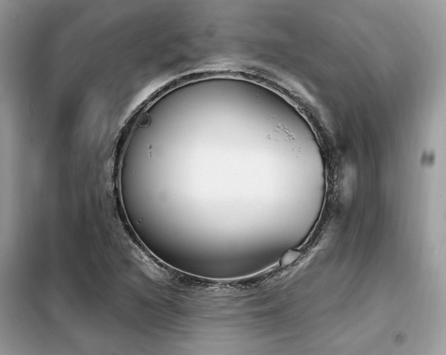 X0000099461216200805091520