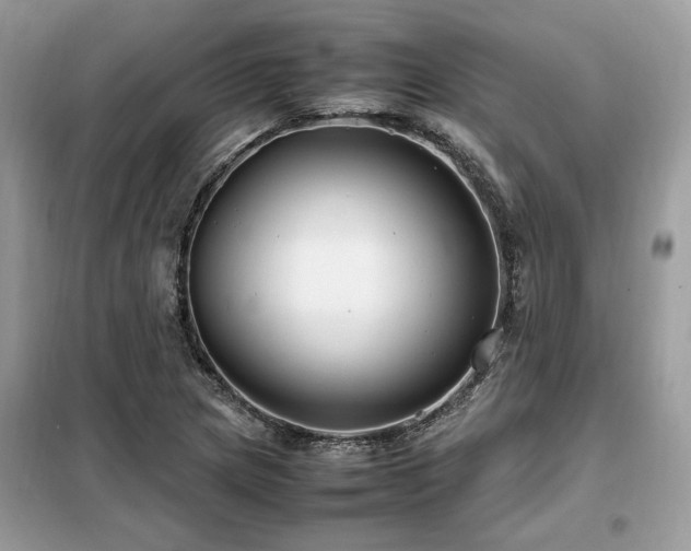 X0000099461217200805091520