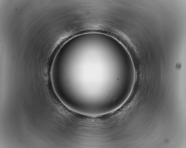 X0000099461218200805091521