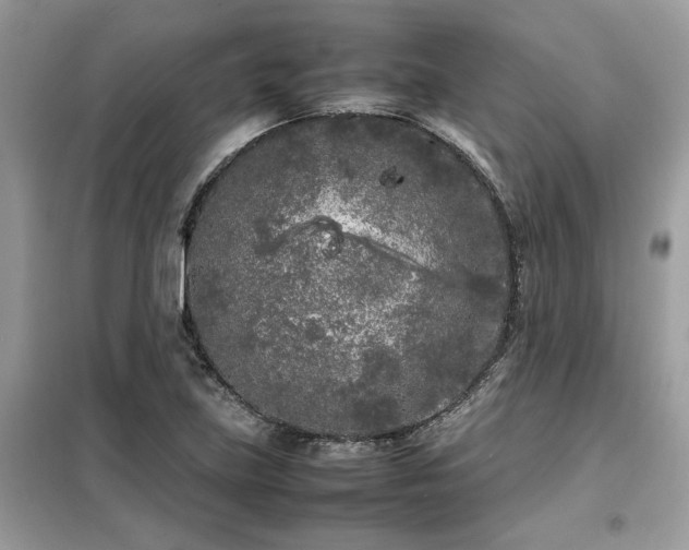 X0000099461219200805091521