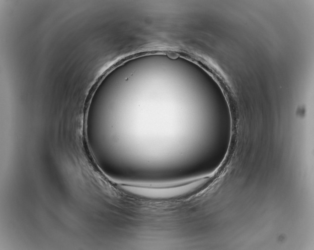 X0000099461220200805091521