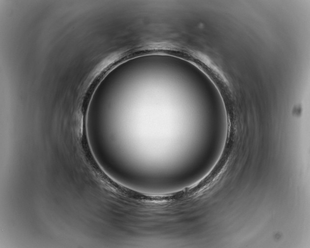 X0000099461221200805091521