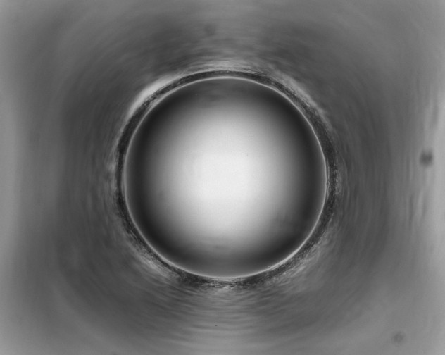 X0000099461222200805091521