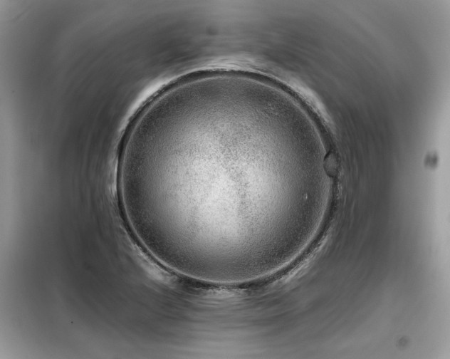 X0000099461224200805091521