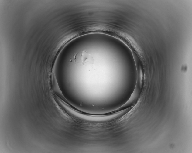 X0000099461225200805091521