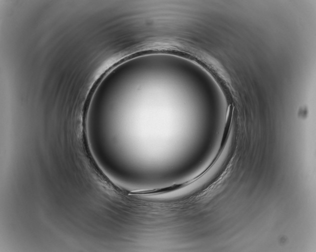 X0000099461226200805091521
