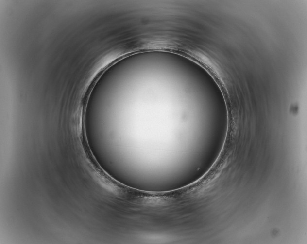 X0000099461227200805091521