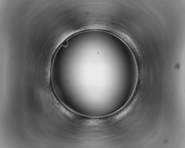X0000099461228200805091521