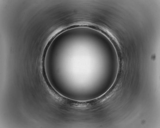 X0000099461229200805091521