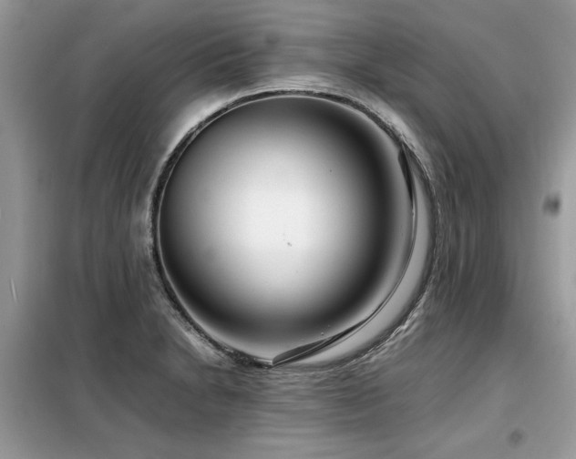 X0000099461230200805091521