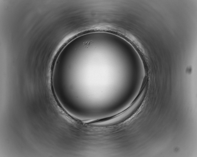 X0000099461232200805091521