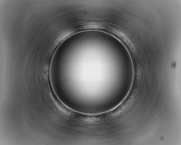 X0000099461233200805091521