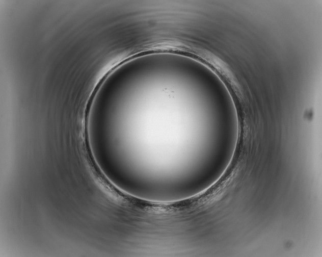 X0000099461234200805091521