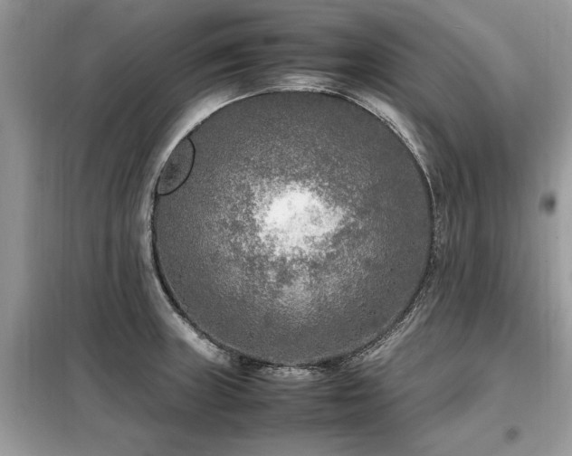 X0000099461235200805091521