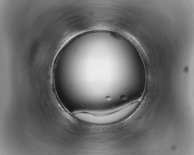 X0000099461236200805091521