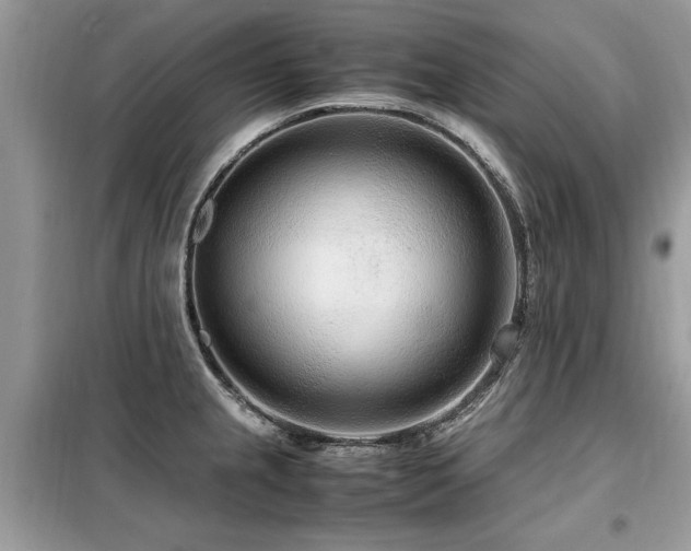 X0000099461237200805091521