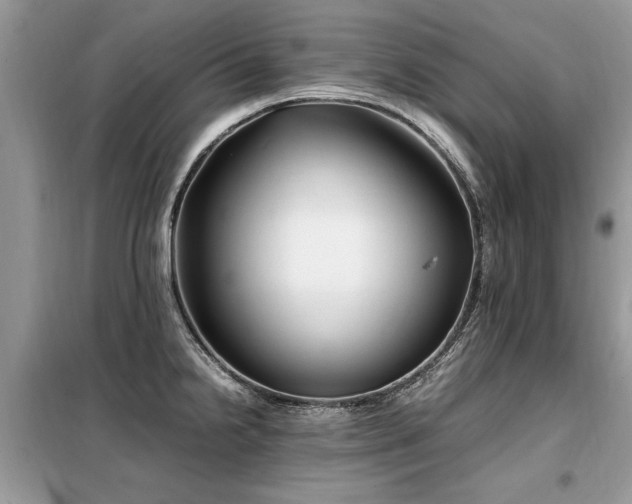 X0000099461238200805091521