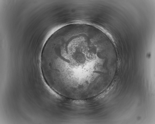 X0000099461239200805091521