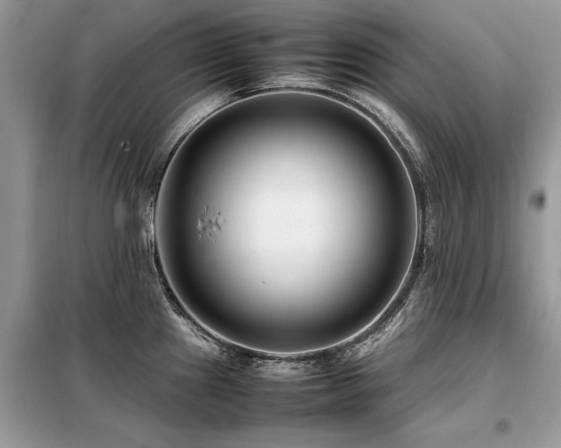 X0000099461241200805091521