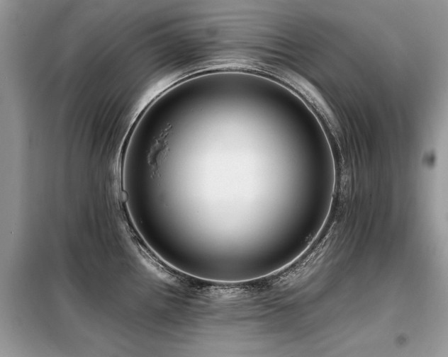 X0000099461242200805091521