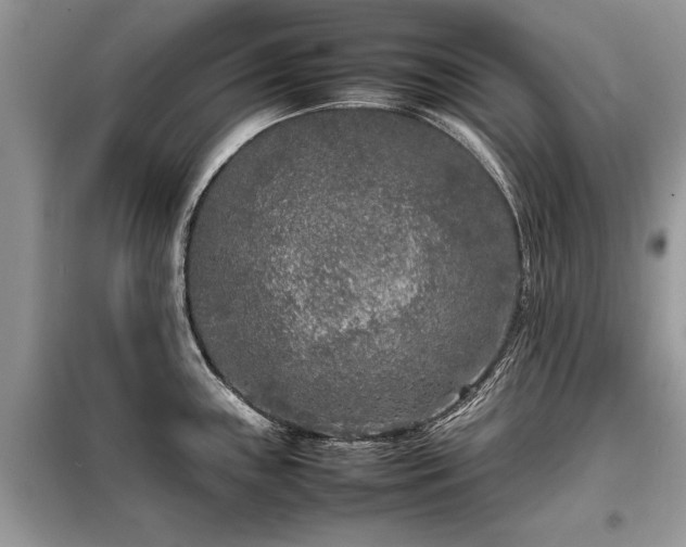 X0000099461243200805091521