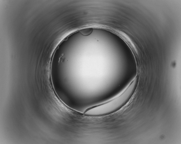 X0000099461244200805091521