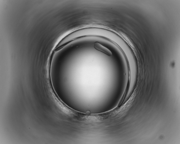 X0000099461246200805091521