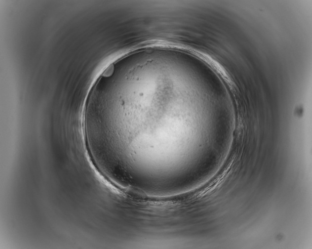 X0000099461247200805091521