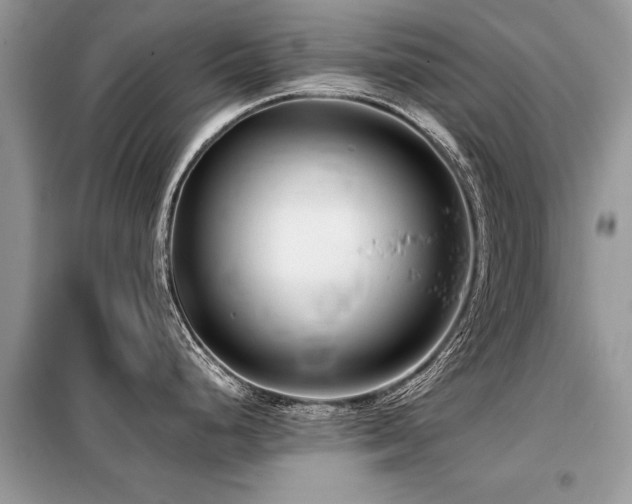 X0000099461248200805091521