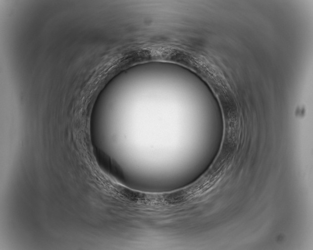 X0000099461249200805091520