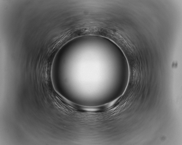 X0000099461250200805091520
